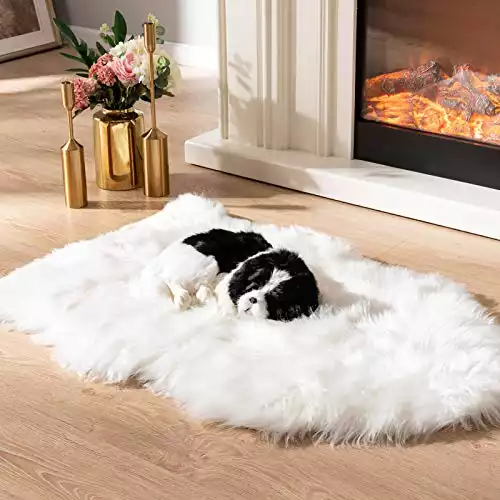Asrug Soft Faux Fur Pet Bed Mat Plush and Fluffy Pet Pad Ultra Cozy Pet Throw Rug for Dogs Cats, Luxury Soft Faux Sheepskin Chair Cover Seat Pad Shag Fur Area Rugs for Bedroom, White, 24 by 36 inches