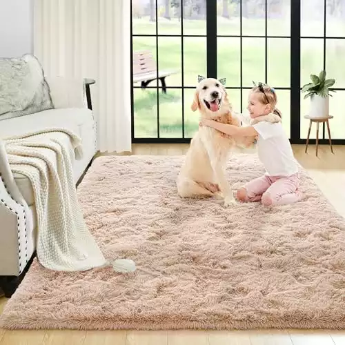 Noahas Small Rugs for Bedroom,2x3 Beige Fluffy Bedroom Rug,Thick Fuzzy Area Rugs for Living Room,Non Slip Rugs for Hardwood Floors,Soft Kids Carpet Reduce Noise Room Decor