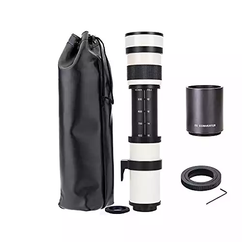Best Budget Canon Telephoto Lens for Wildlife Photography [2024]