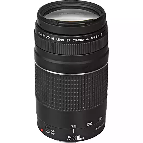 Best Budget Lens for Sports Photography Canon [2024]