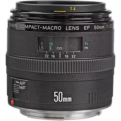 Canon EF 50mm f/2.5 Compact Macro Lens Black