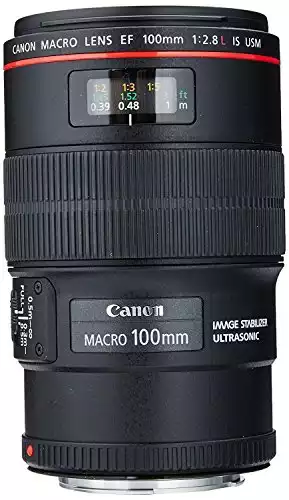 Canon EF 100mm f/2.8L IS USM Macro Lens for Canon Digital SLR Cameras (Renewed)