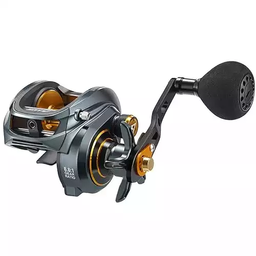 Best Budget Baitcaster for Anglers on a Tight Budget [2024]