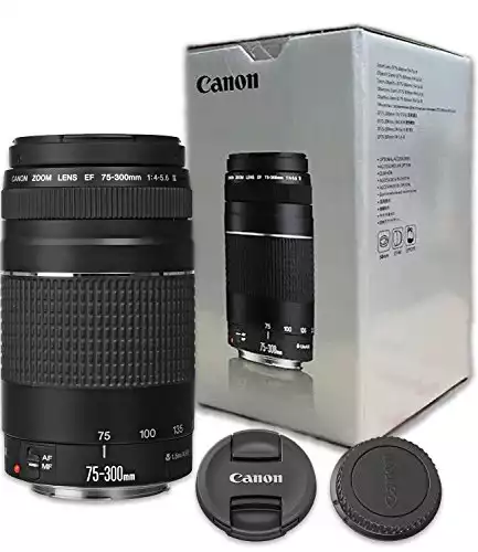Canon EF 75-300mm f/4-5.6 III Telephoto Zoom Lens Black