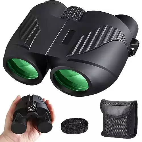 Best Budget Binoculars for Hunting [2024]