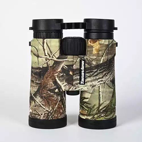 Best Budget Binoculars for Hunting [2024]