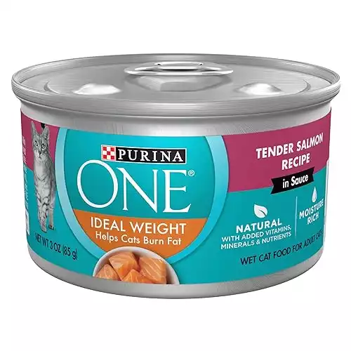 Best Budget Cat Food [2024]