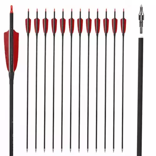 Best Budget Arrows for Archery Beginners [2024]